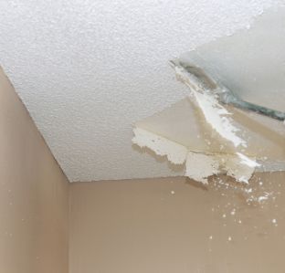 Texture Removal